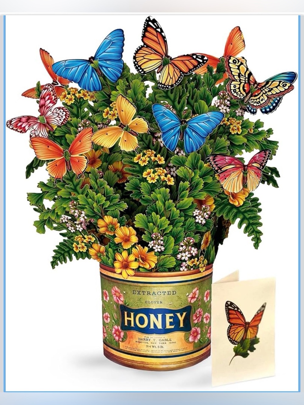 Freshcut Paper Butterflies & Buttercups 12" Pop Up Card